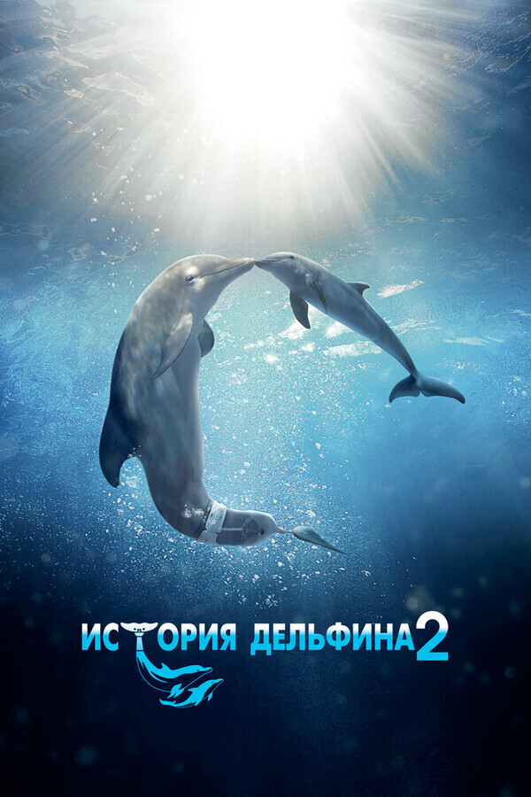 История дельфина 2 / Dolphin Tale 2