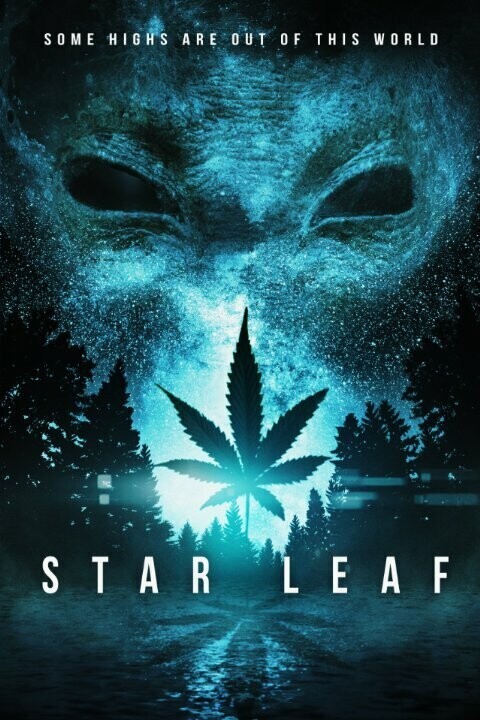 Звездная травка / Star Leaf
