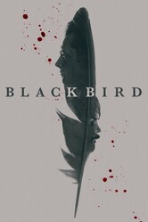 Чёрная птица / Black Bird